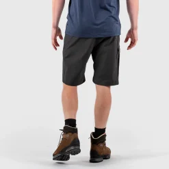 Abisko Lite Shorts