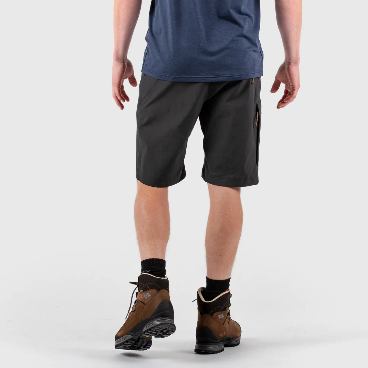 Abisko Lite Shorts