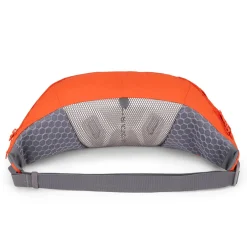 Aeon LT 5 Belt Pack