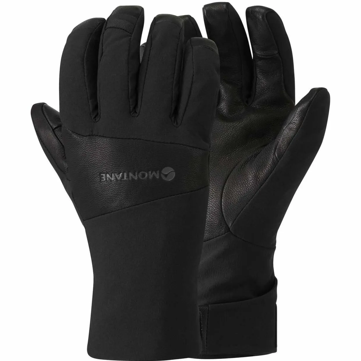 Alpine Resolve Gore-Tex Gloves
