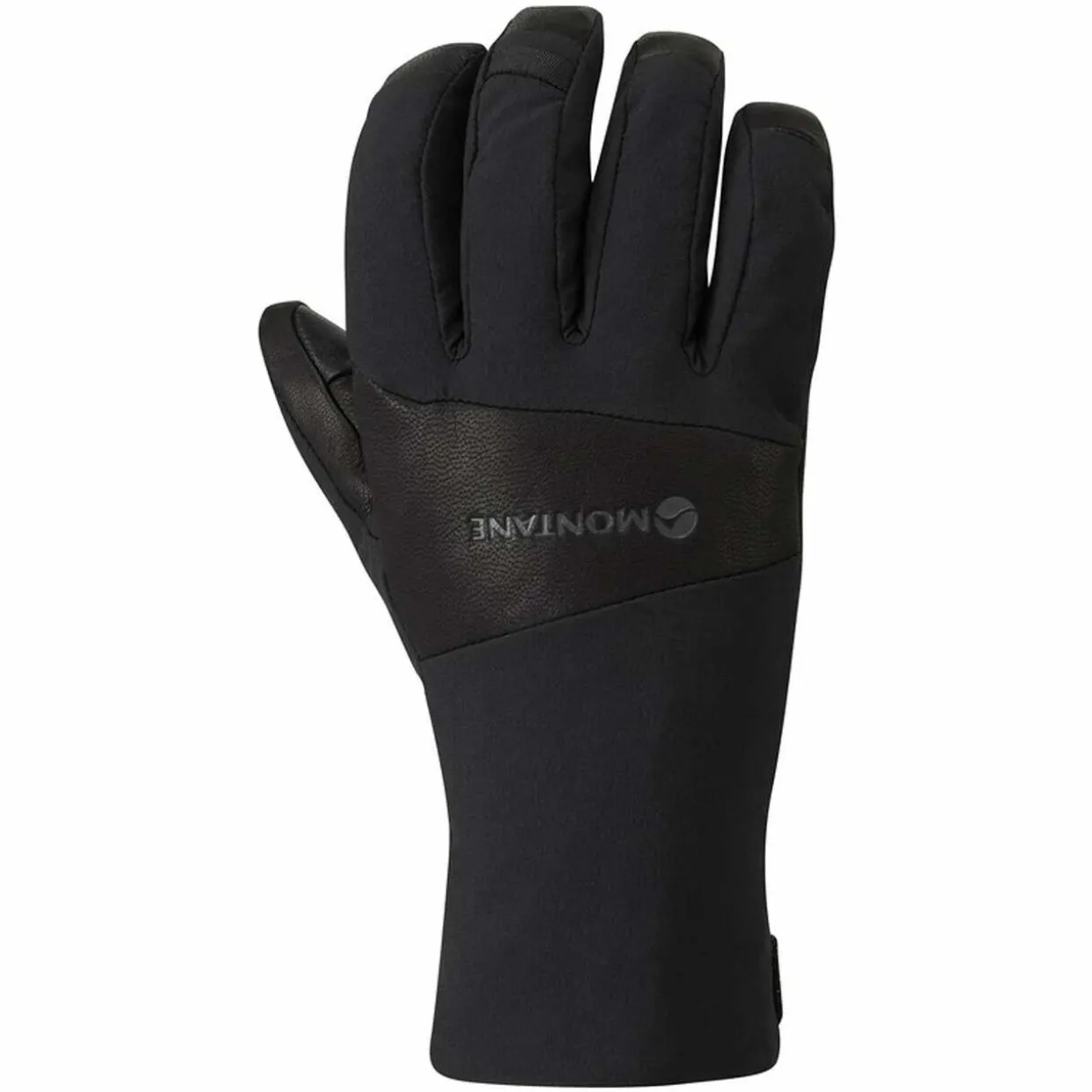 Alpine Resolve Gore-Tex Gloves