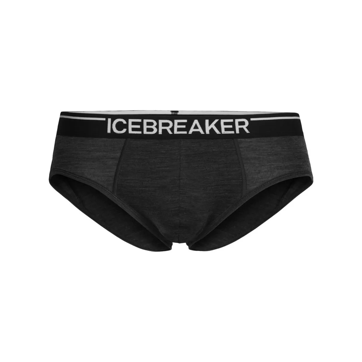 Anatomica Merino Briefs