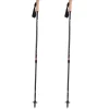 Andesite Carbon Trekking Poles