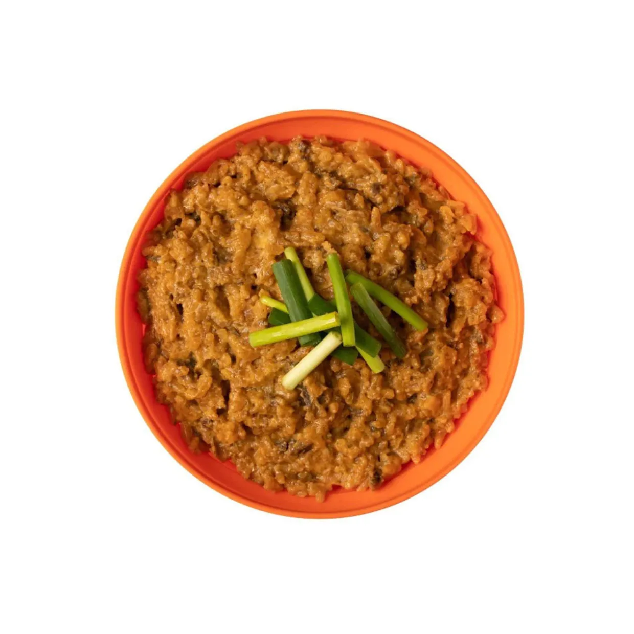 Beef Stroganoff with Rice (Double Serving)