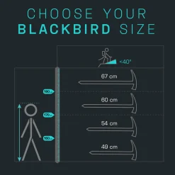 Blackbird Ice Axe