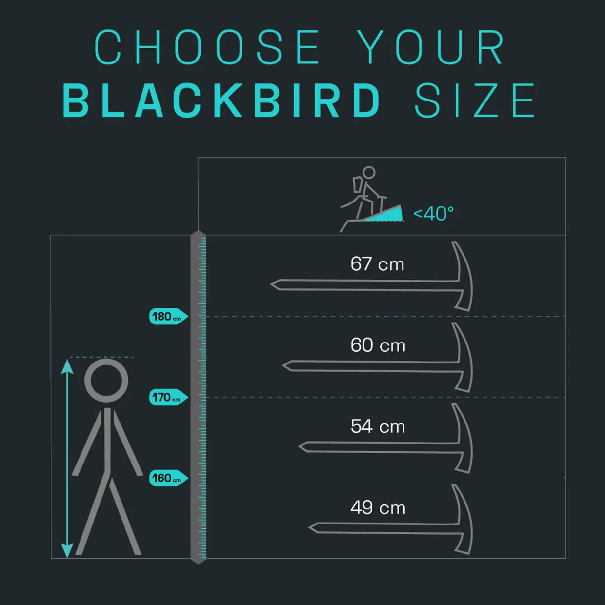 Blackbird Ice Axe