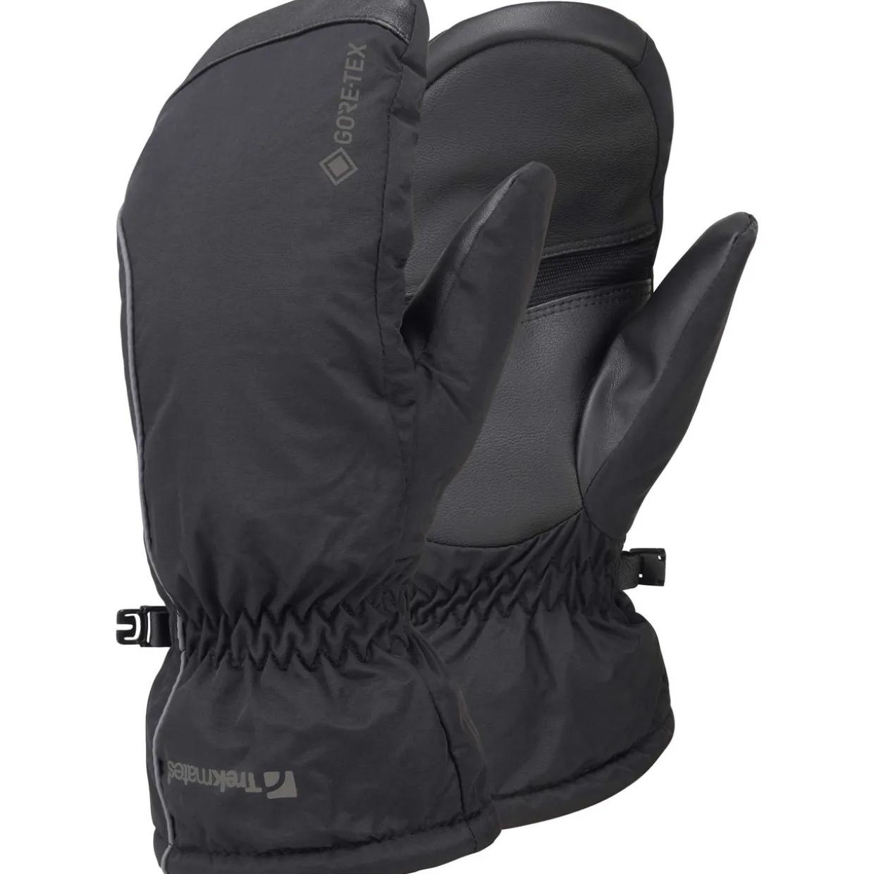 Chamonix Gore-Tex Mitts