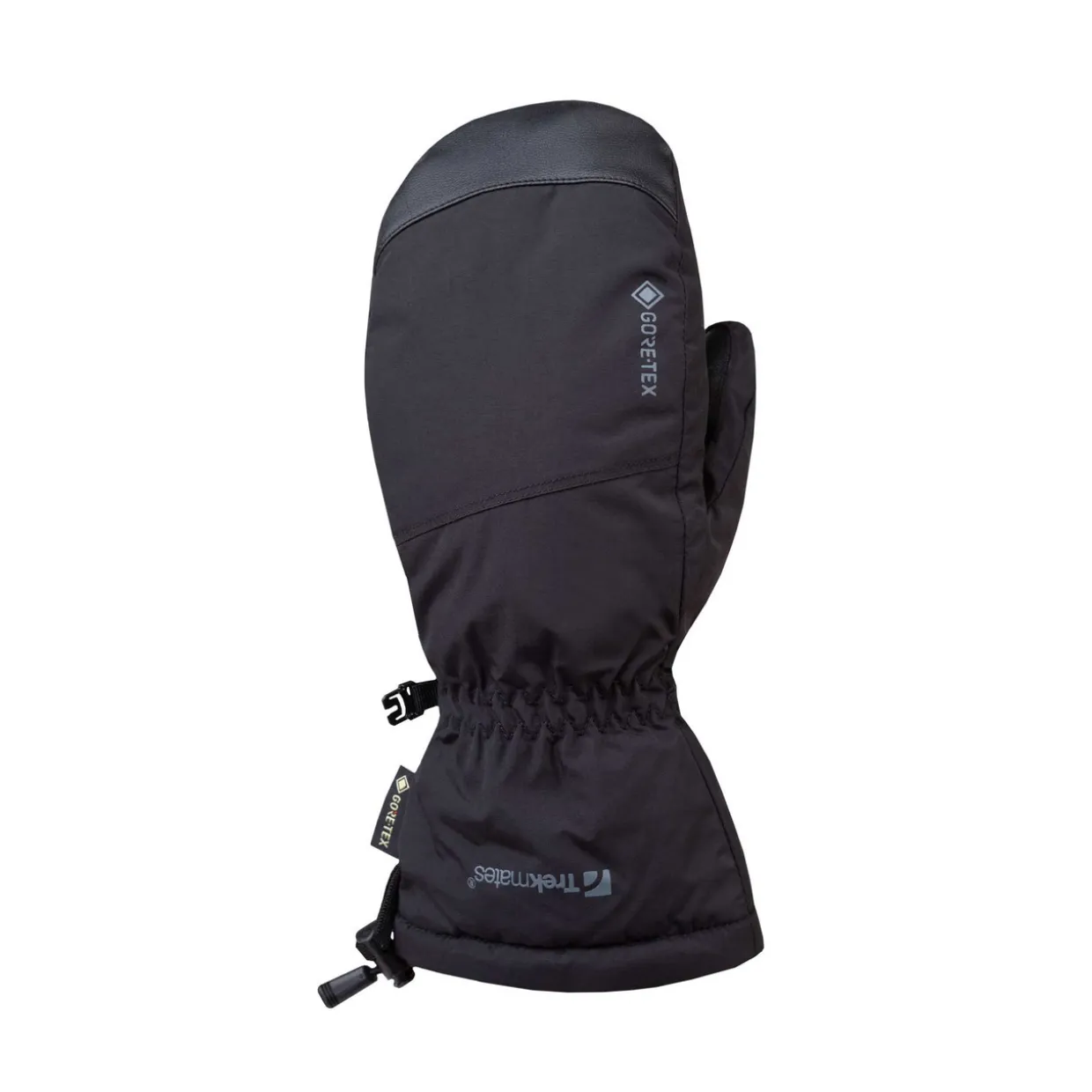 Chamonix Gore-Tex Mitts