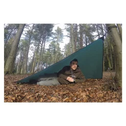 DD Magic Carpet