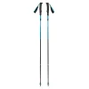 Distance Carbon Z Trekking Poles
