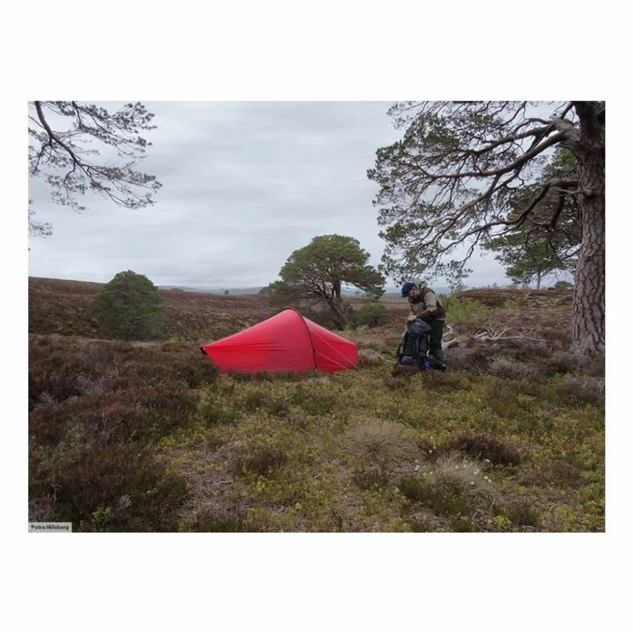 Enan Tent