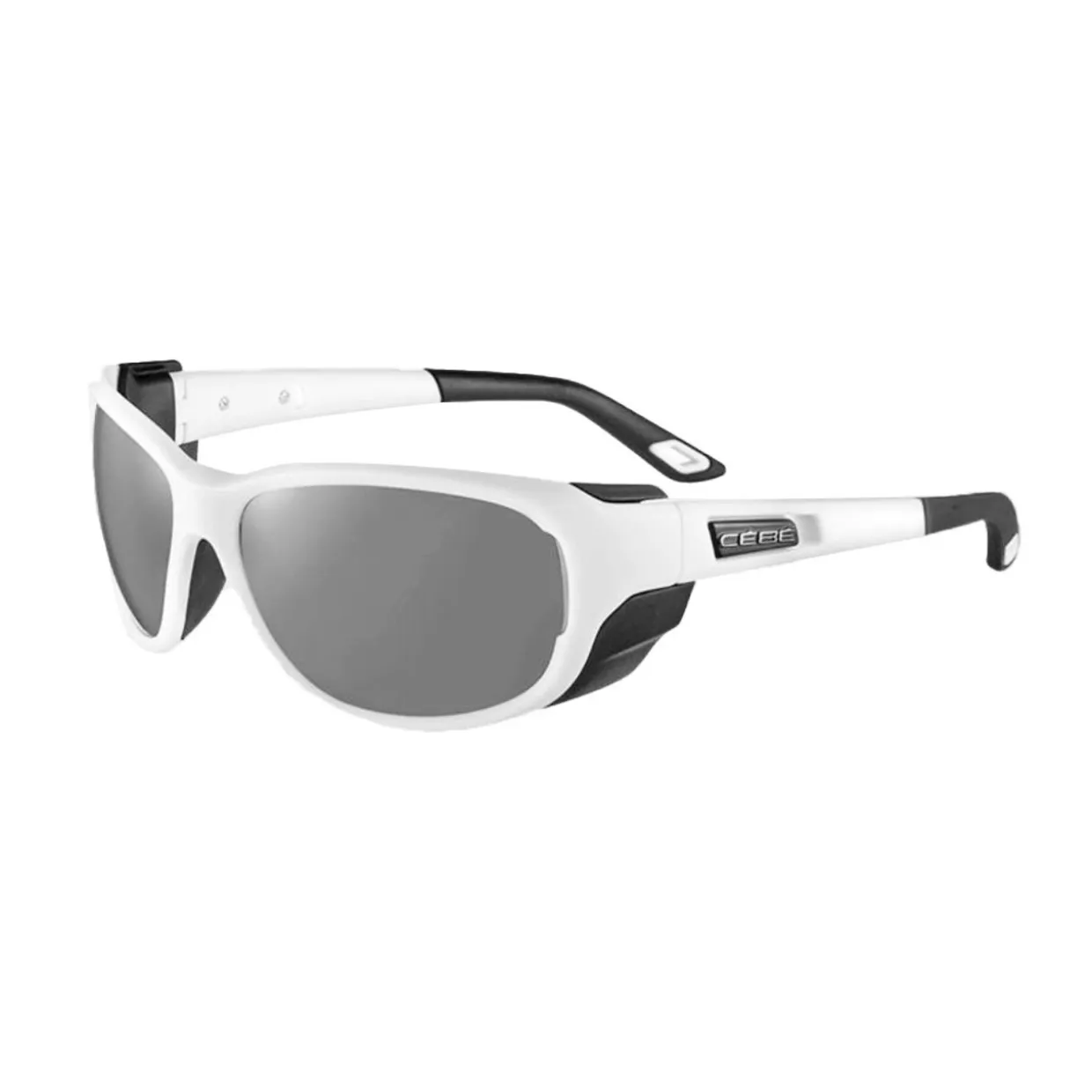 Everest Sunglasses with Brown Silver Cat 4 Lens