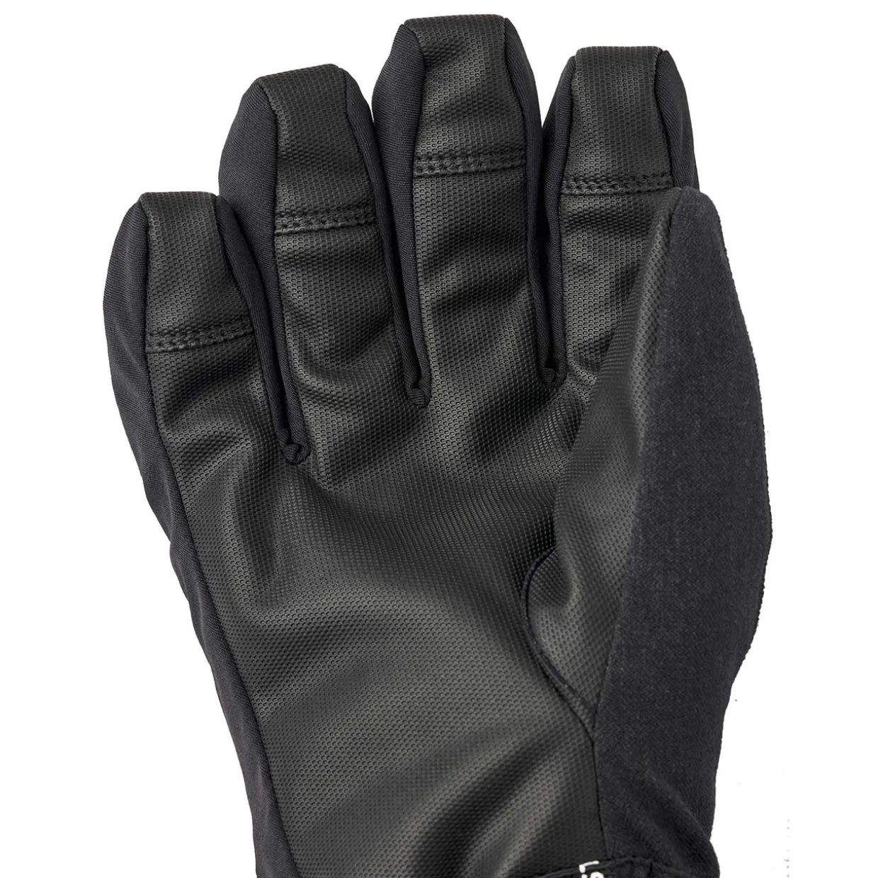 Gore-Tex Perform Gloves