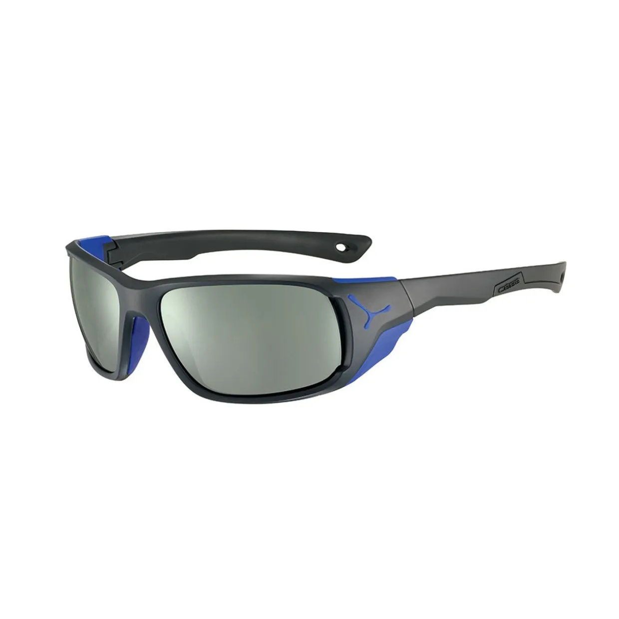 Jorasses L Sunglasses with Vario Green Silver Cat 2-4 Lens
