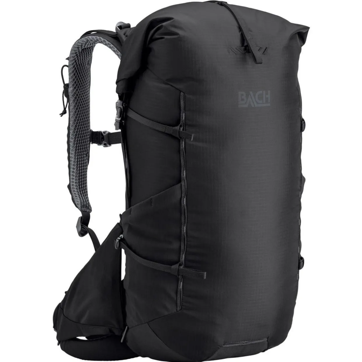 Molecule 30 Pack