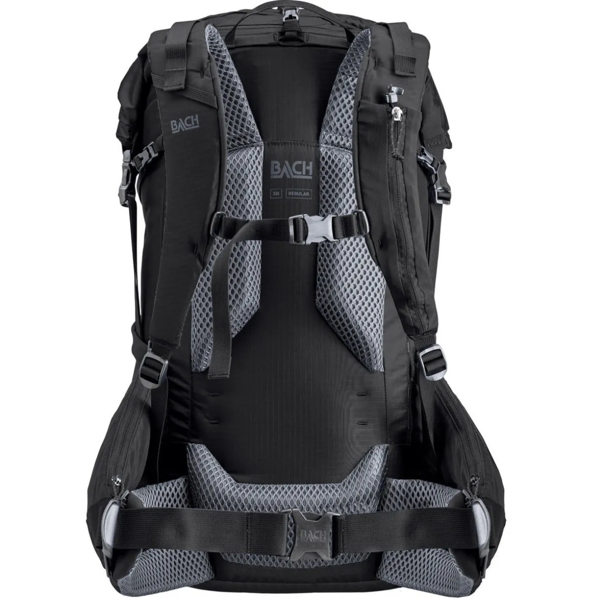 Molecule 30 Pack