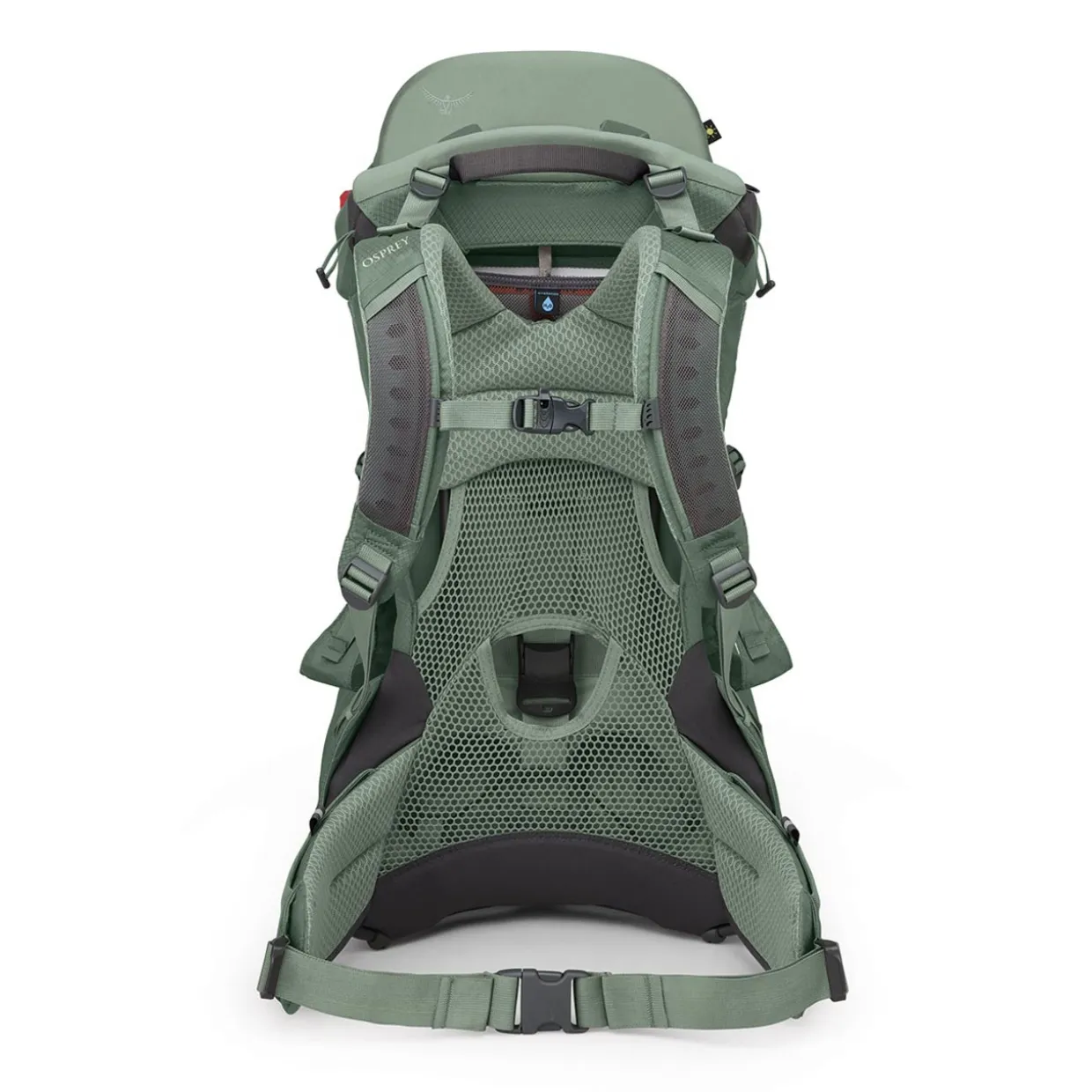 Poco Child Carrier with Raincover