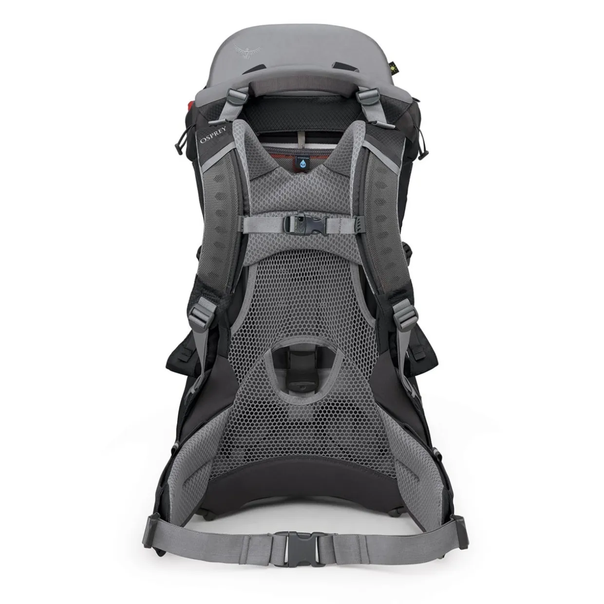 Poco Child Carrier with Raincover