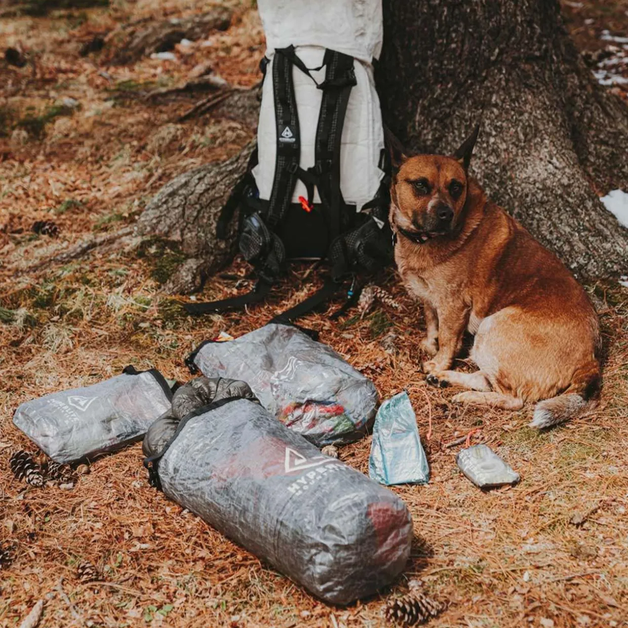 Roll-Top Stuff Sacks