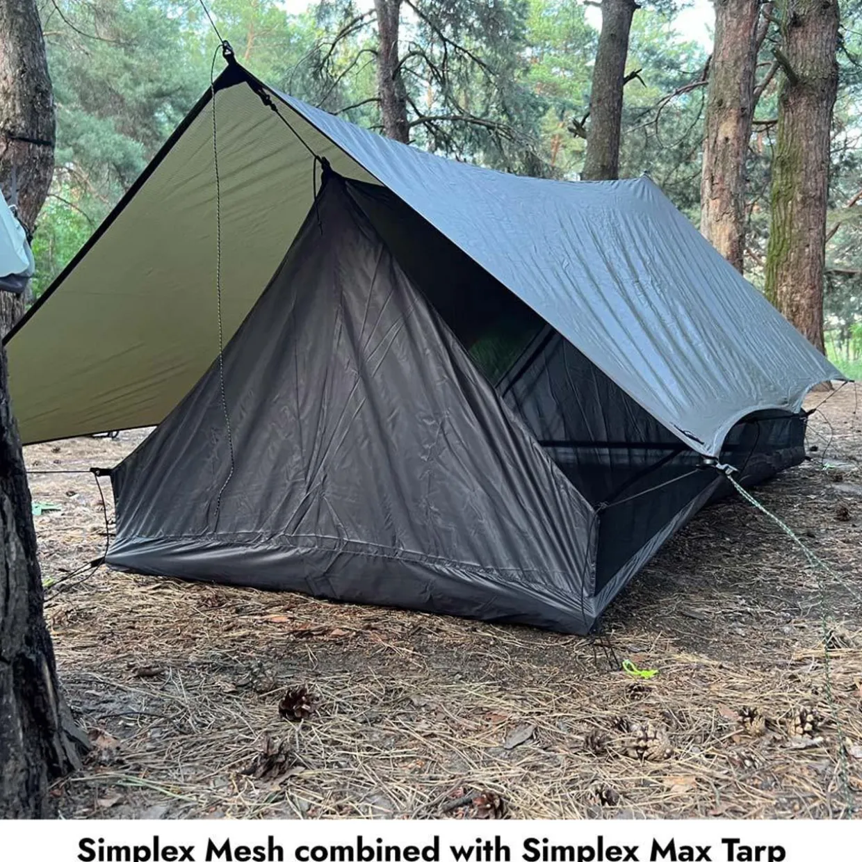 Simplex Max Tarp