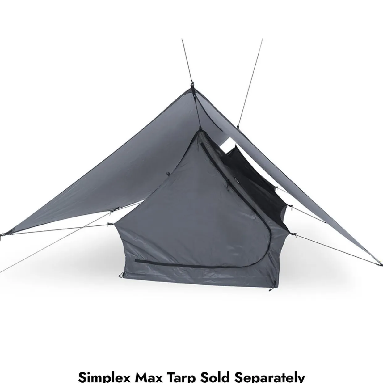 Simplex Mesh 1P