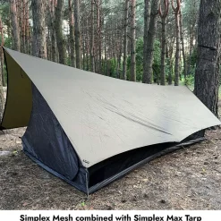 Simplex Mesh 1P