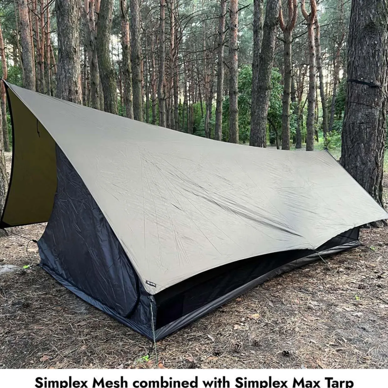 Simplex Mesh 1P