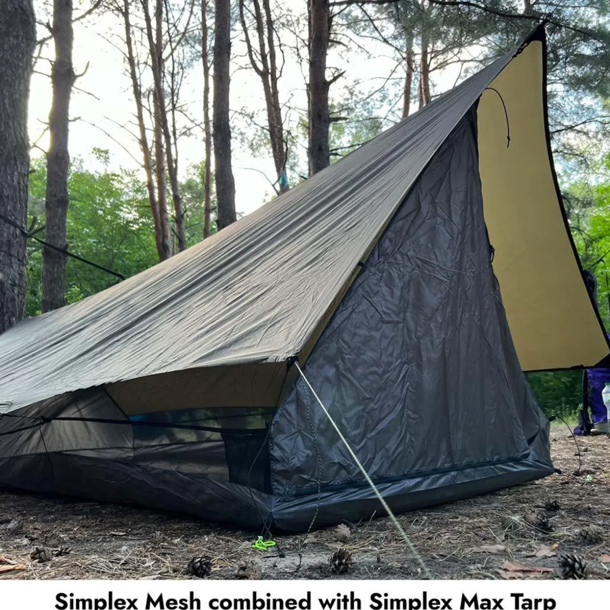 Simplex Mesh 1P