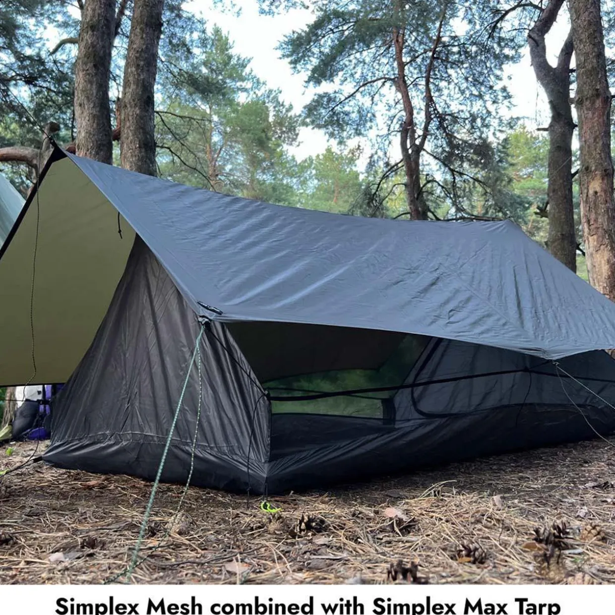 Simplex Mesh 1P