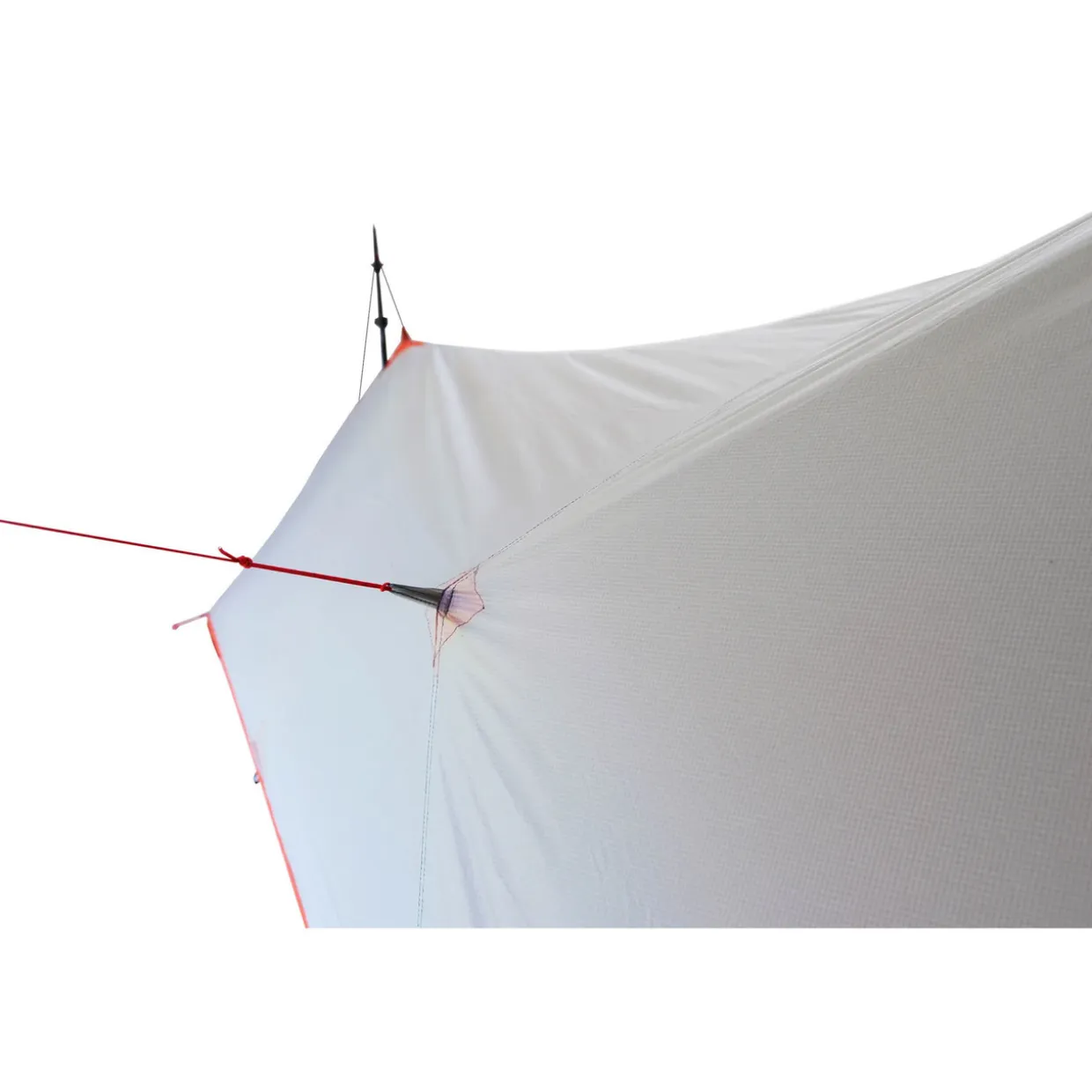 SplitWing Tarp