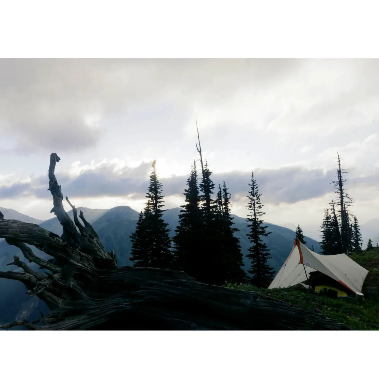 SplitWing Tarp