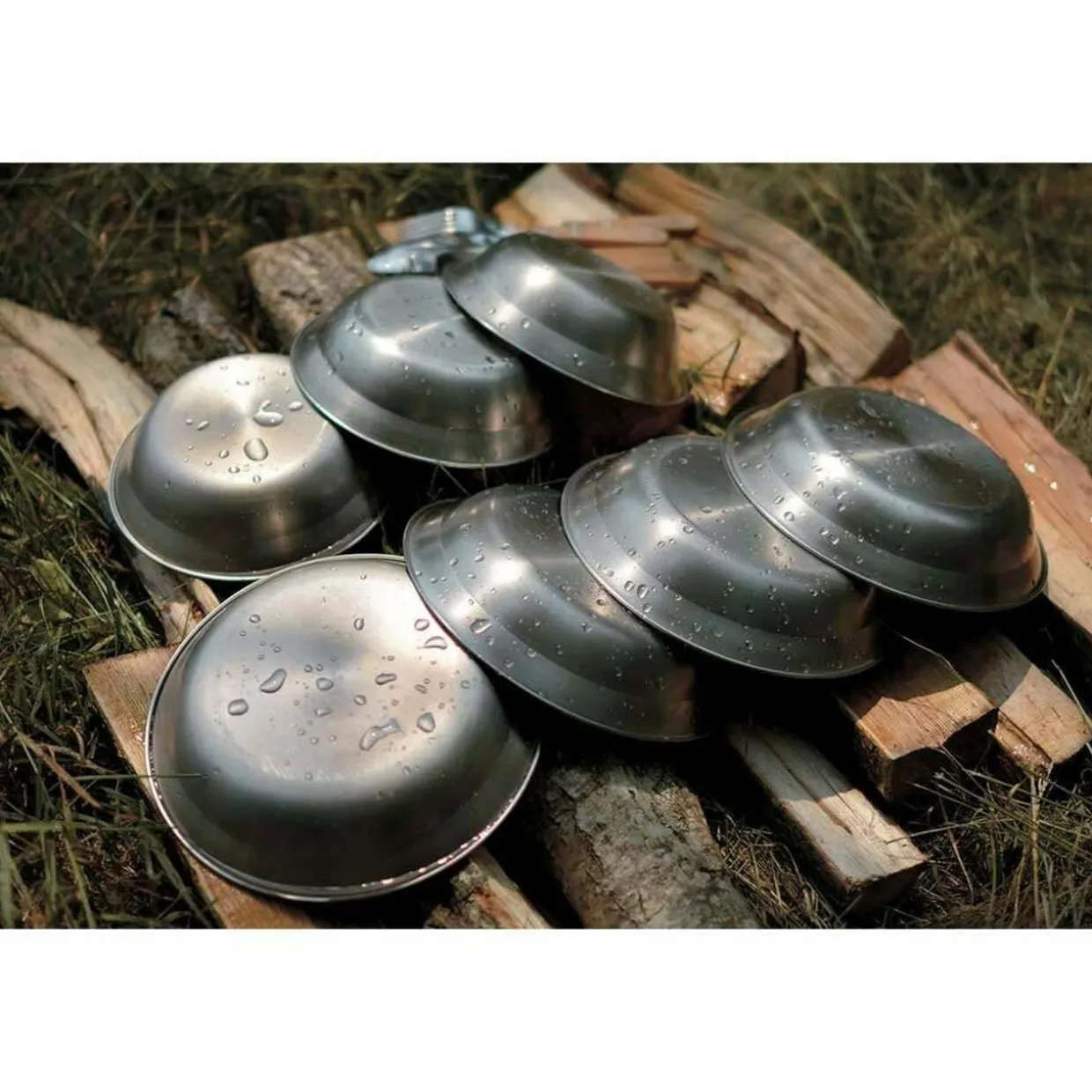 Tableware Dish