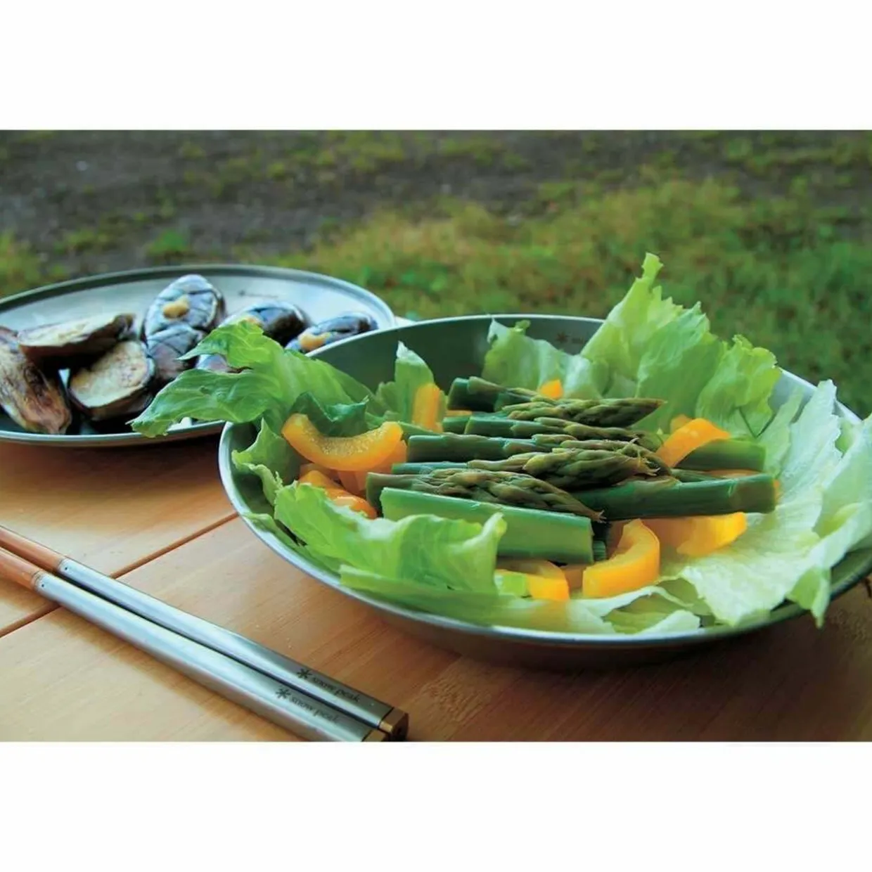 Tableware Dish