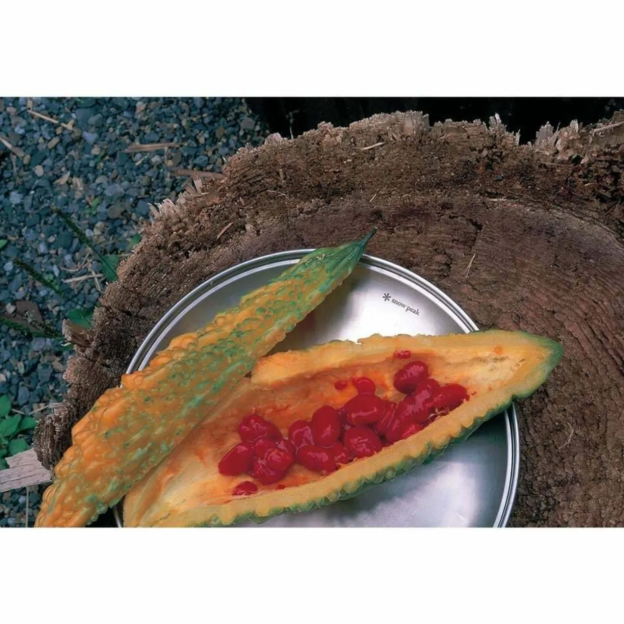 Tableware Plate L