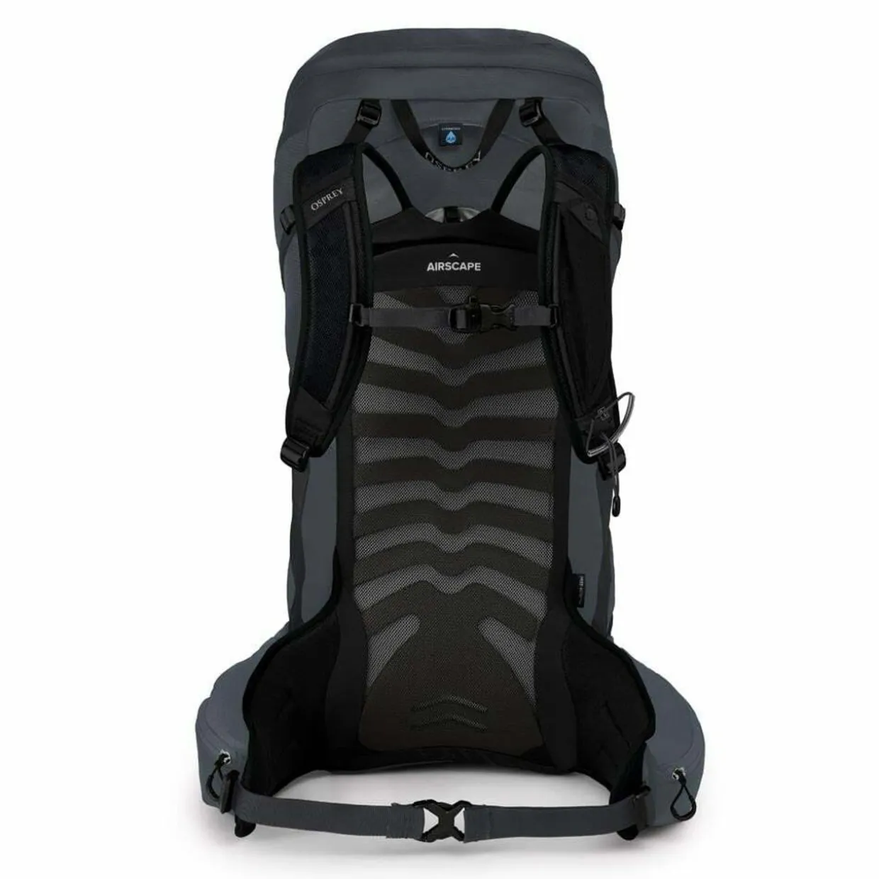 Talon 36 Litre Rucksack