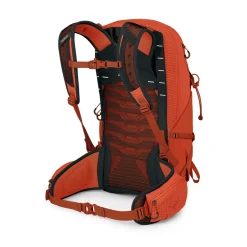 Talon Pro 20 Litre Rucksack