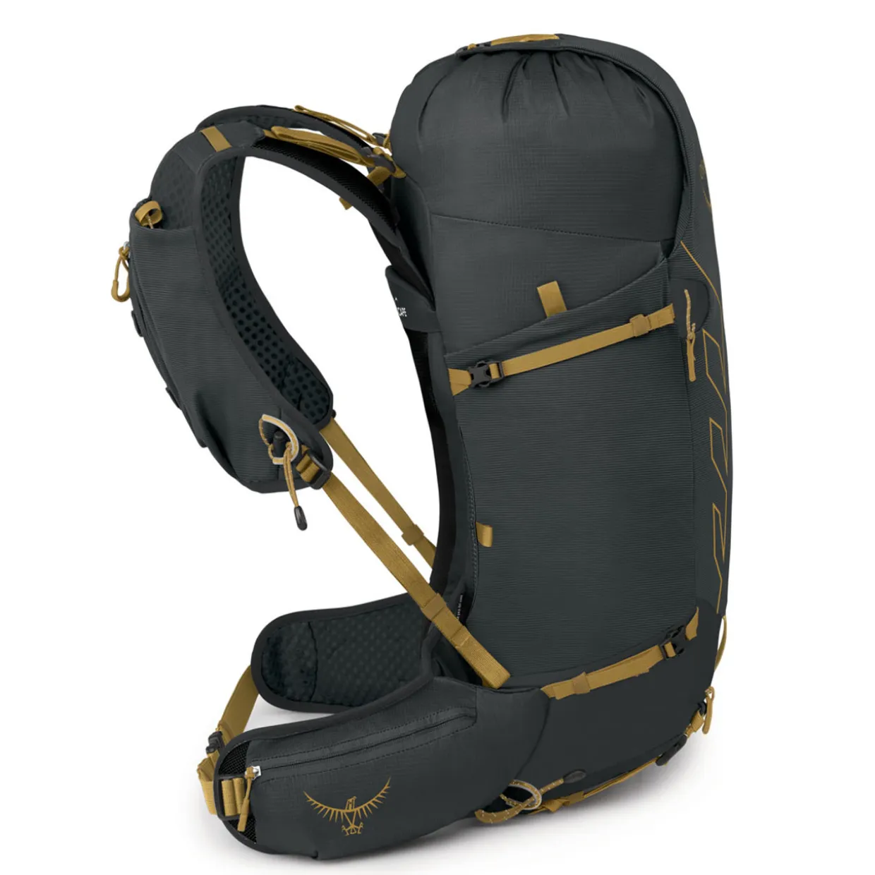 Talon Velocity 30 Rucksack