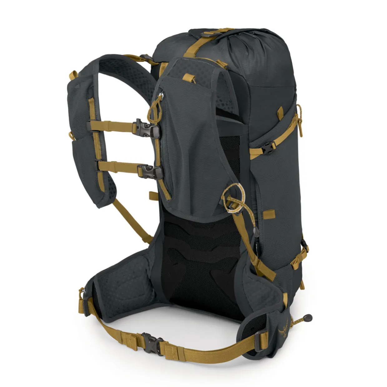 Talon Velocity 20 Rucksack