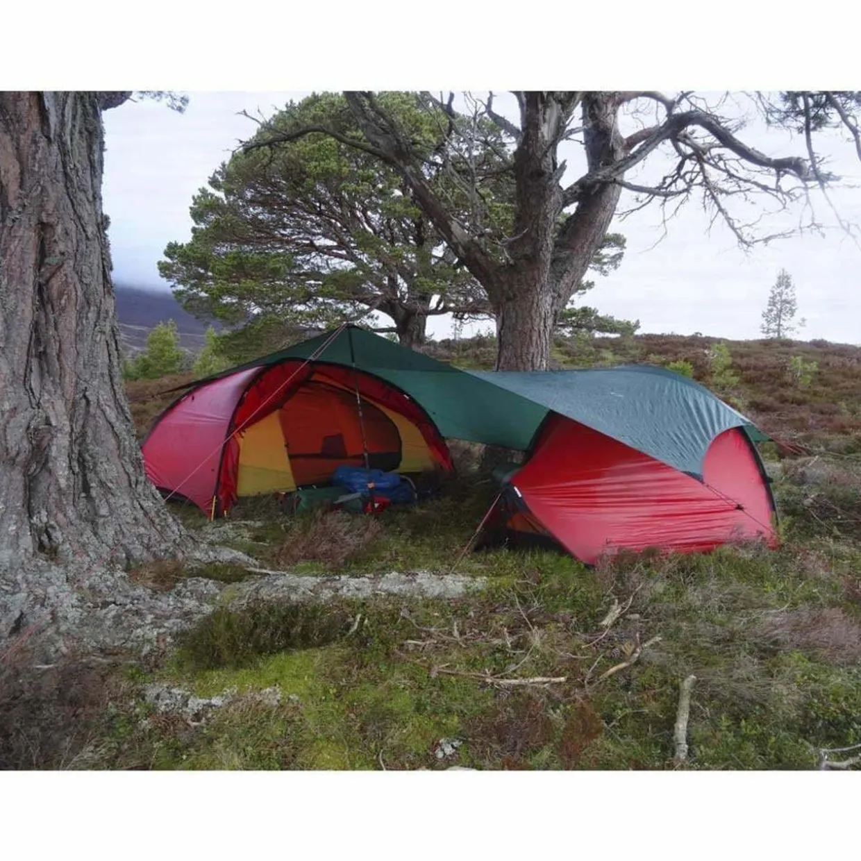 Tarp 10 UL
