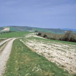 The South Downs Way 2024