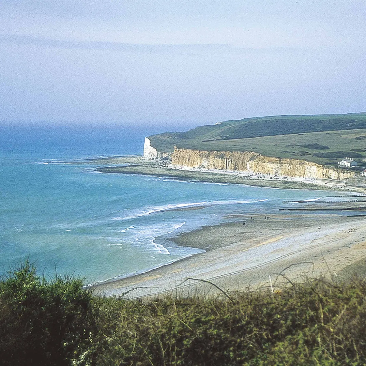 The South Downs Way 2024