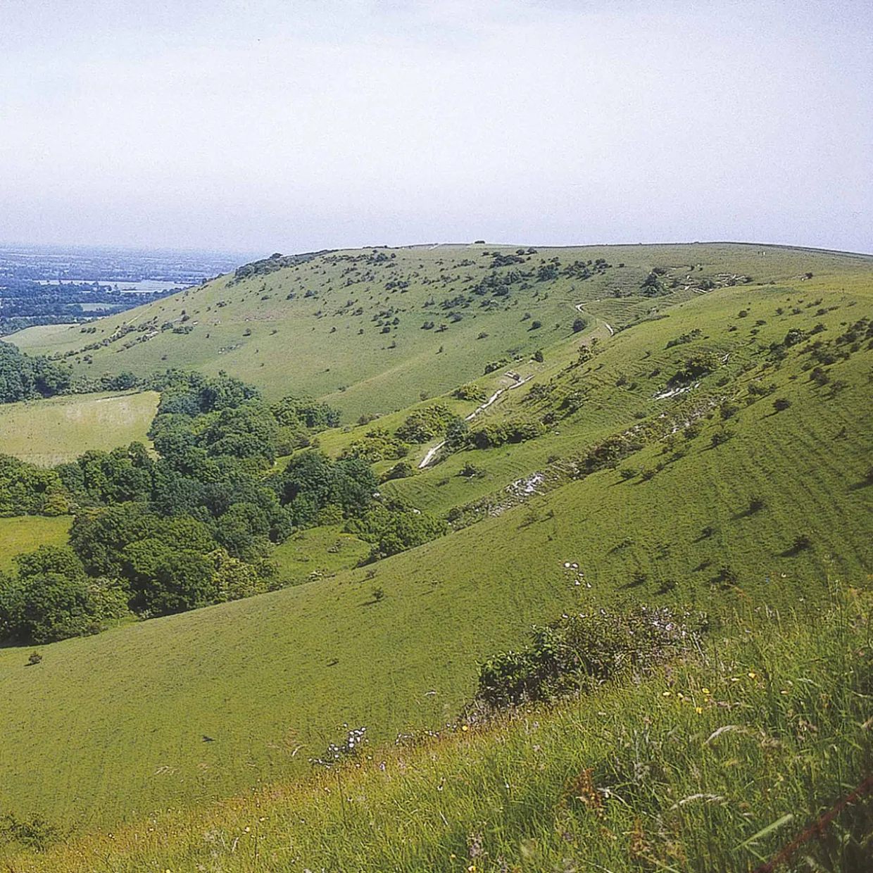 The South Downs Way 2024