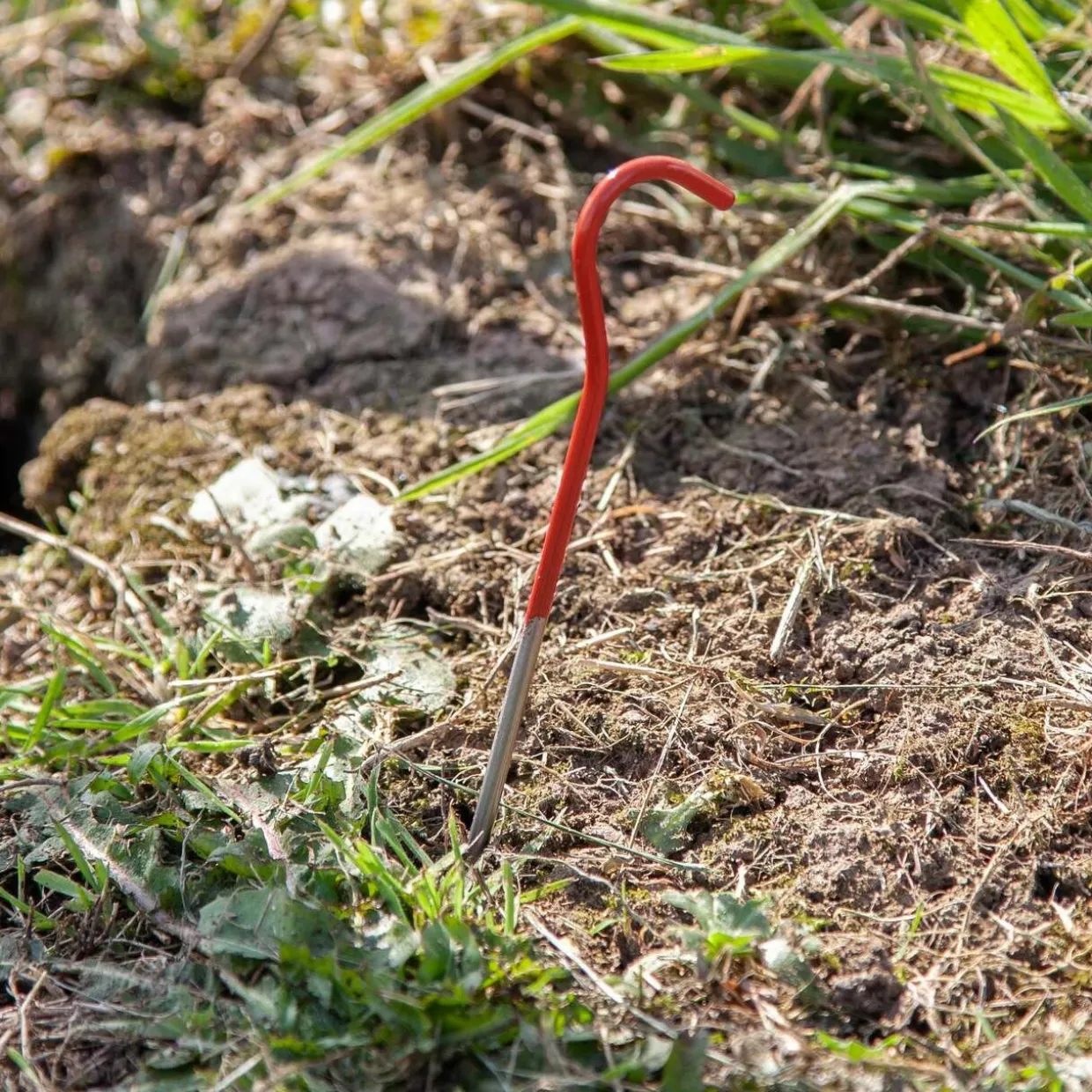 Titanium Wire Peg