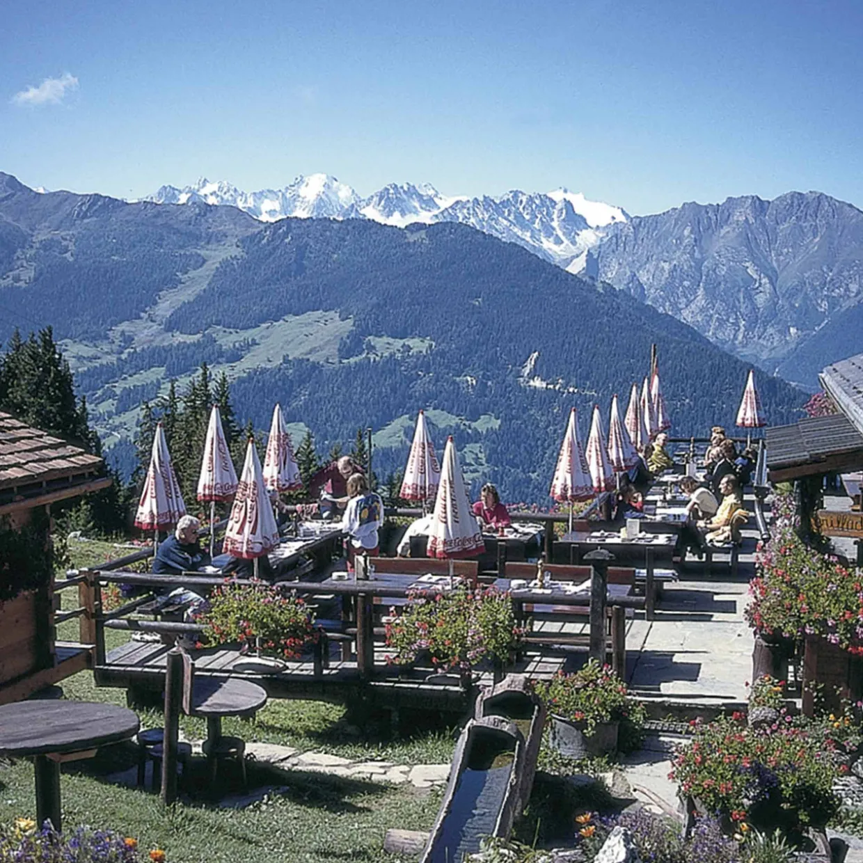 Trekking Chamonix to Zermatt 2024