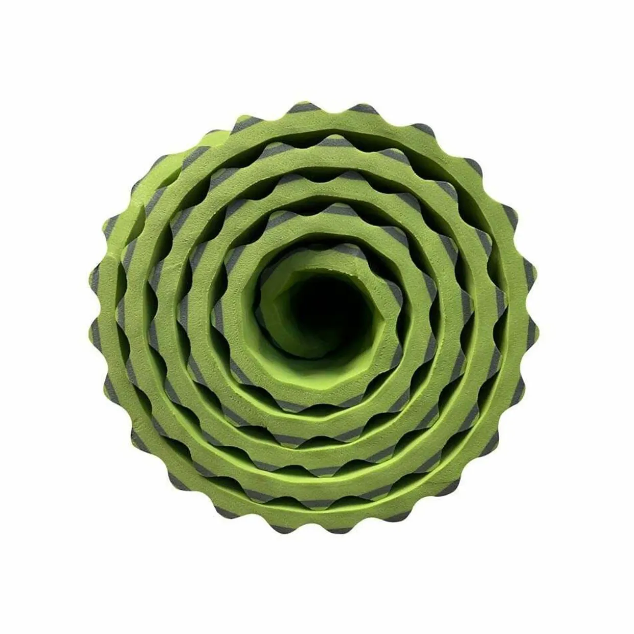 TwisterCane Bio Foam Regular Sleeping Mat