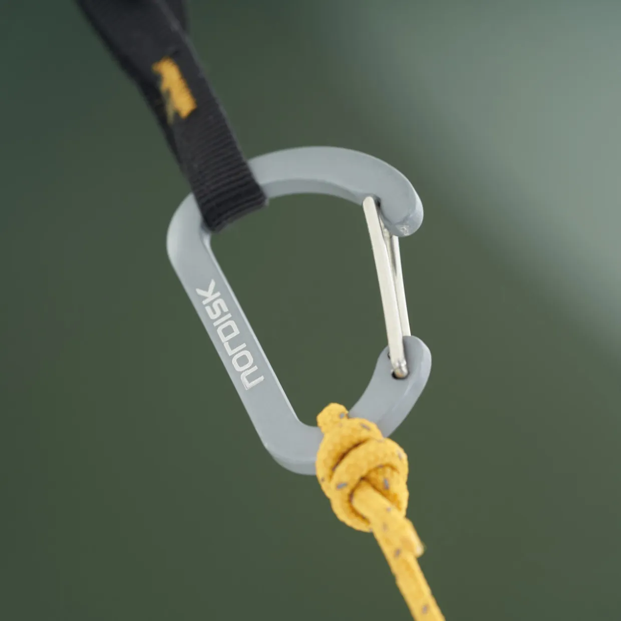 Voss 2 LW Tentwing