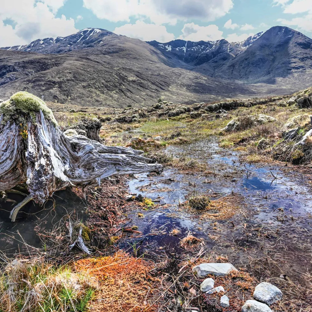 Walking the Munros Vol 2 - Northern Highlands and the Cairngorms 2024