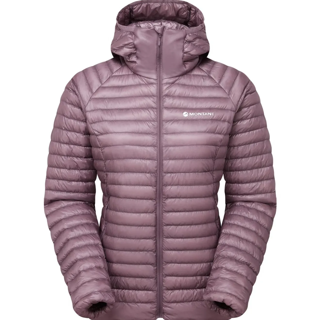 Womens Alpine 850 Nano Down Hoodie
