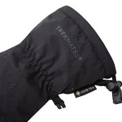 Womens Chamonix Gore-Tex Mitts