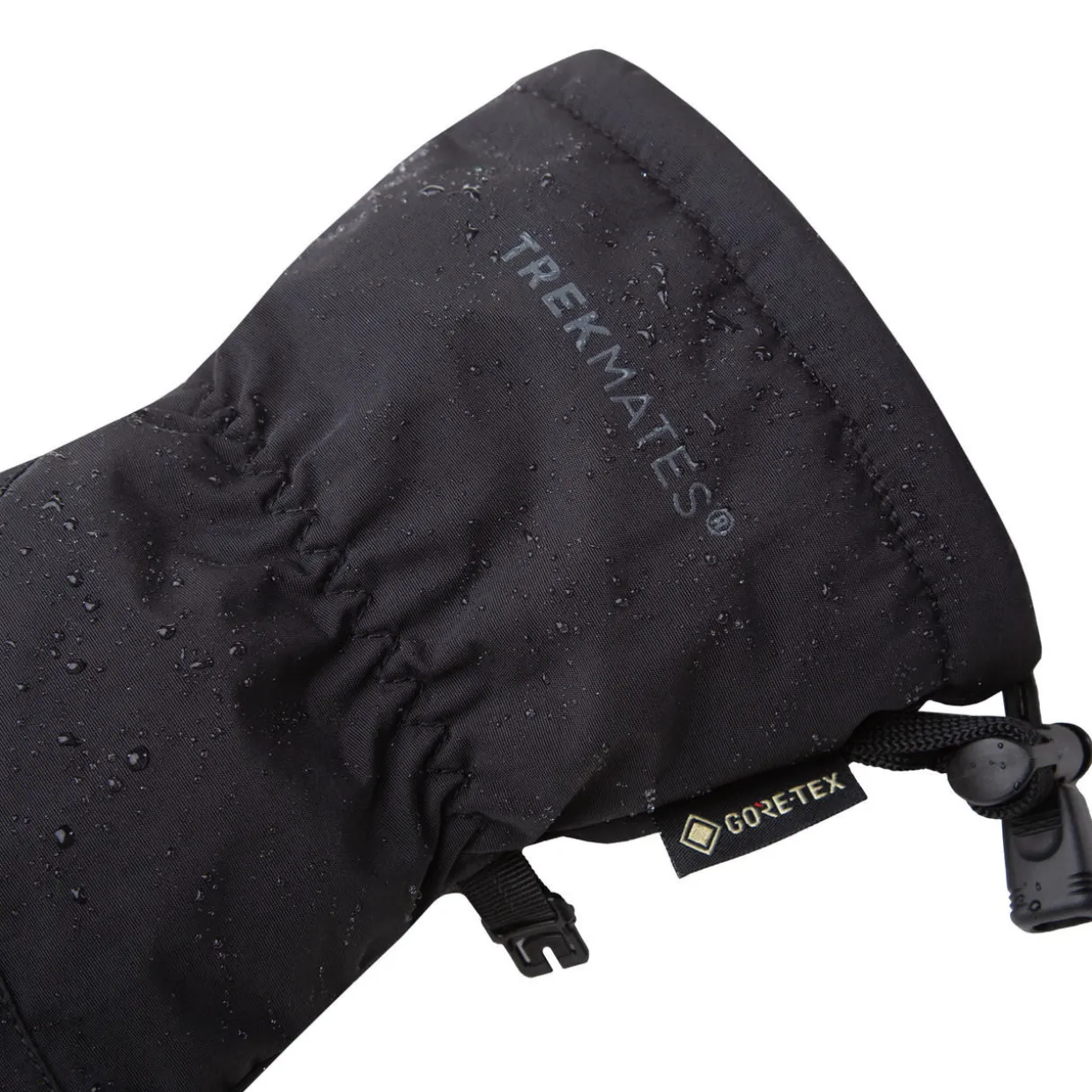 Womens Chamonix Gore-Tex Mitts
